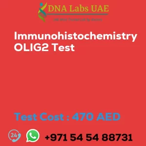 Immunohistochemistry OLIG2 Test sale cost 470 AED