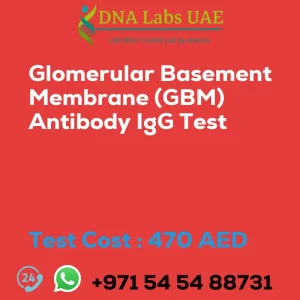 Glomerular Basement Membrane (GBM) Antibody IgG Test sale cost 470 AED