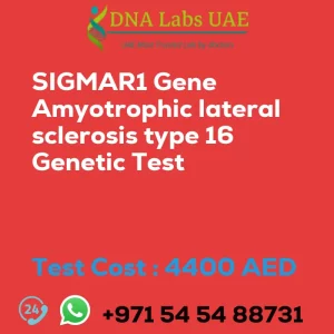 SIGMAR1 Gene Amyotrophic lateral sclerosis type 16 Genetic Test sale cost 4400 AED