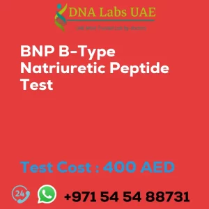 BNP B-Type Natriuretic Peptide Test sale cost 400 AED