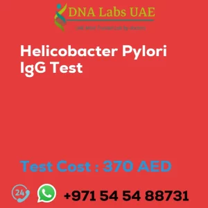 Helicobacter Pylori IgG Test sale cost 370 AED