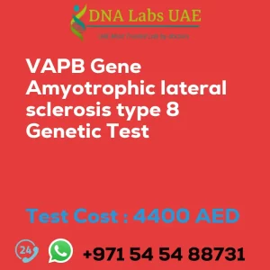 VAPB Gene Amyotrophic lateral sclerosis type 8 Genetic Test sale cost 4400 AED