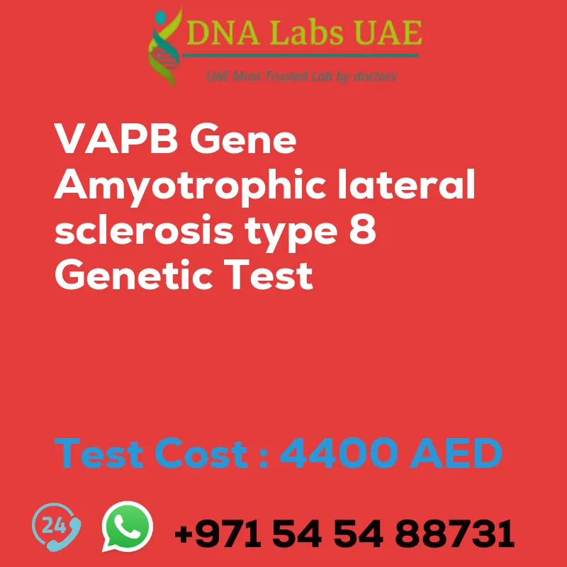 VAPB Gene Amyotrophic lateral sclerosis type 8 Genetic Test sale cost 4400 AED