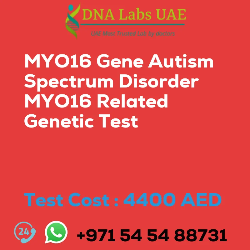 MYO16 Gene Autism Spectrum Disorder MYO16 Related Genetic Test sale cost 4400 AED
