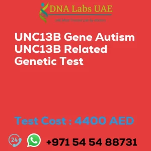 UNC13B Gene Autism UNC13B Related Genetic Test sale cost 4400 AED