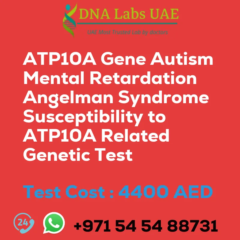 ATP10A Gene Autism Mental Retardation Angelman Syndrome Susceptibility to ATP10A Related Genetic Test sale cost 4400 AED