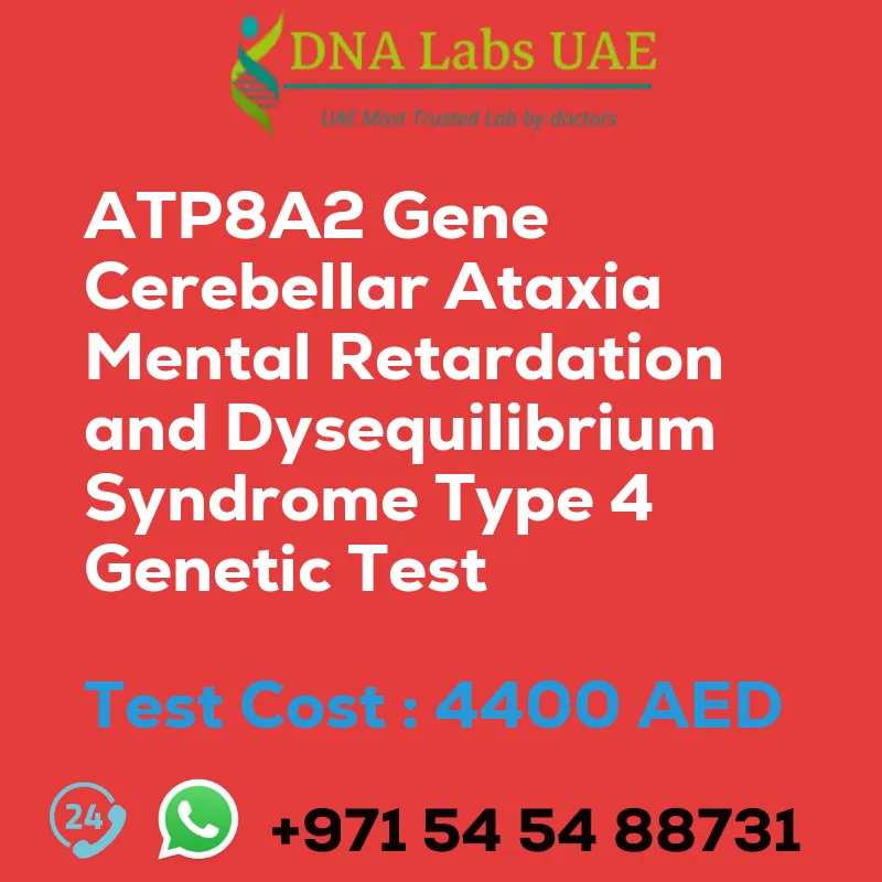 ATP8A2 Gene Cerebellar Ataxia Mental Retardation and Dysequilibrium Syndrome Type 4 Genetic Test sale cost 4400 AED