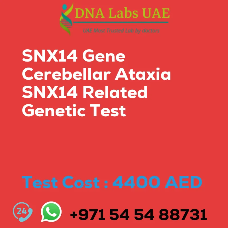SNX14 Gene Cerebellar Ataxia SNX14 Related Genetic Test sale cost 4400 AED