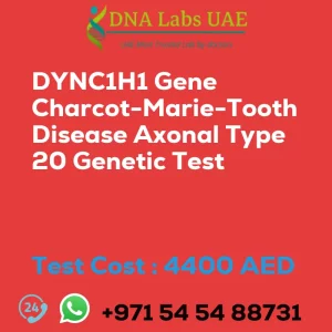 DYNC1H1 Gene Charcot-Marie-Tooth Disease Axonal Type 20 Genetic Test sale cost 4400 AED