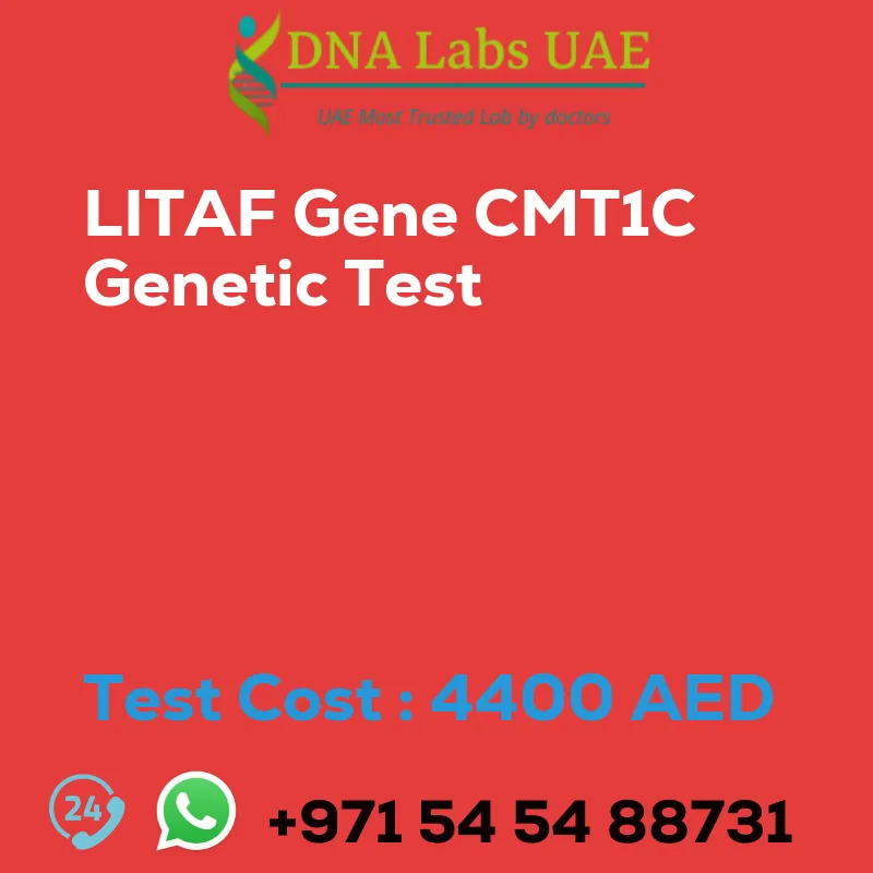 LITAF Gene CMT1C Genetic Test sale cost 4400 AED
