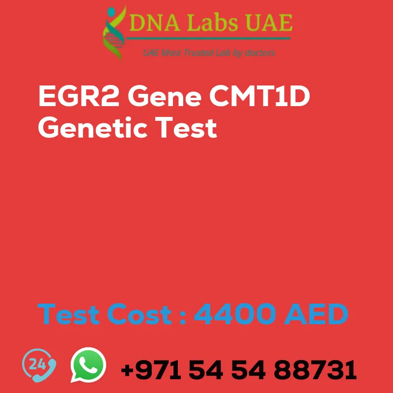 EGR2 Gene CMT1D Genetic Test sale cost 4400 AED
