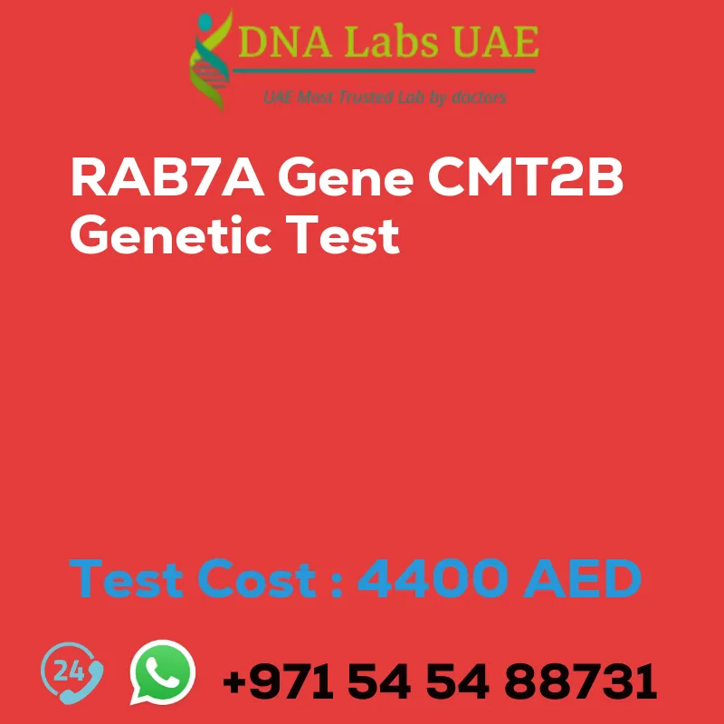 RAB7A Gene CMT2B Genetic Test sale cost 4400 AED