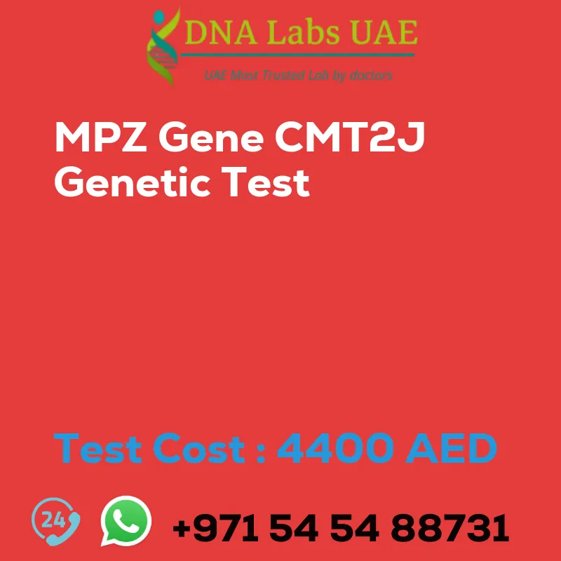 MPZ Gene CMT2J Genetic Test sale cost 4400 AED
