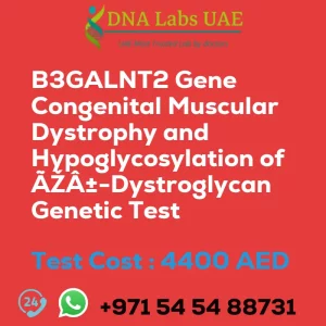 B3GALNT2 Gene Congenital Muscular Dystrophy and Hypoglycosylation of ÃŽÂ±-Dystroglycan Genetic Test sale cost 4400 AED