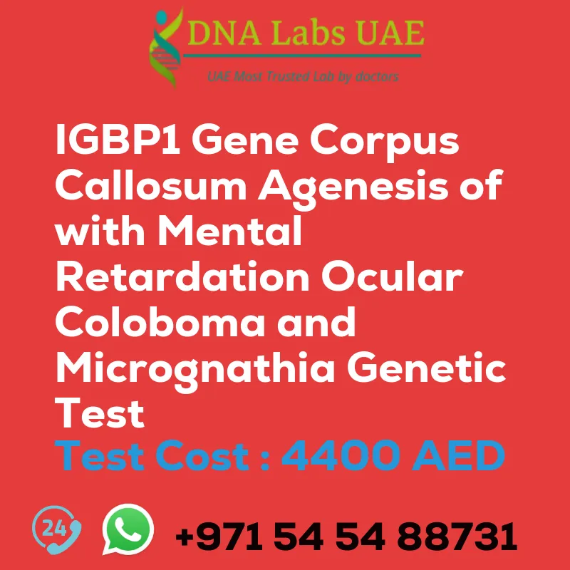 IGBP1 Gene Corpus Callosum Agenesis of with Mental Retardation Ocular Coloboma and Micrognathia Genetic Test sale cost 4400 AED