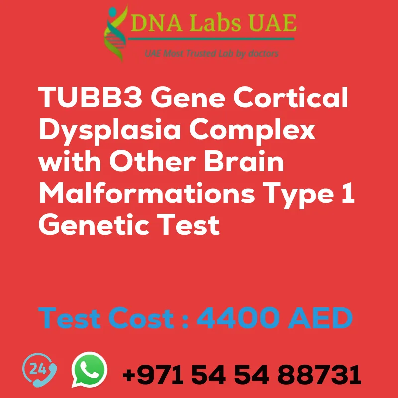 TUBB3 Gene Cortical Dysplasia Complex with Other Brain Malformations Type 1 Genetic Test sale cost 4400 AED