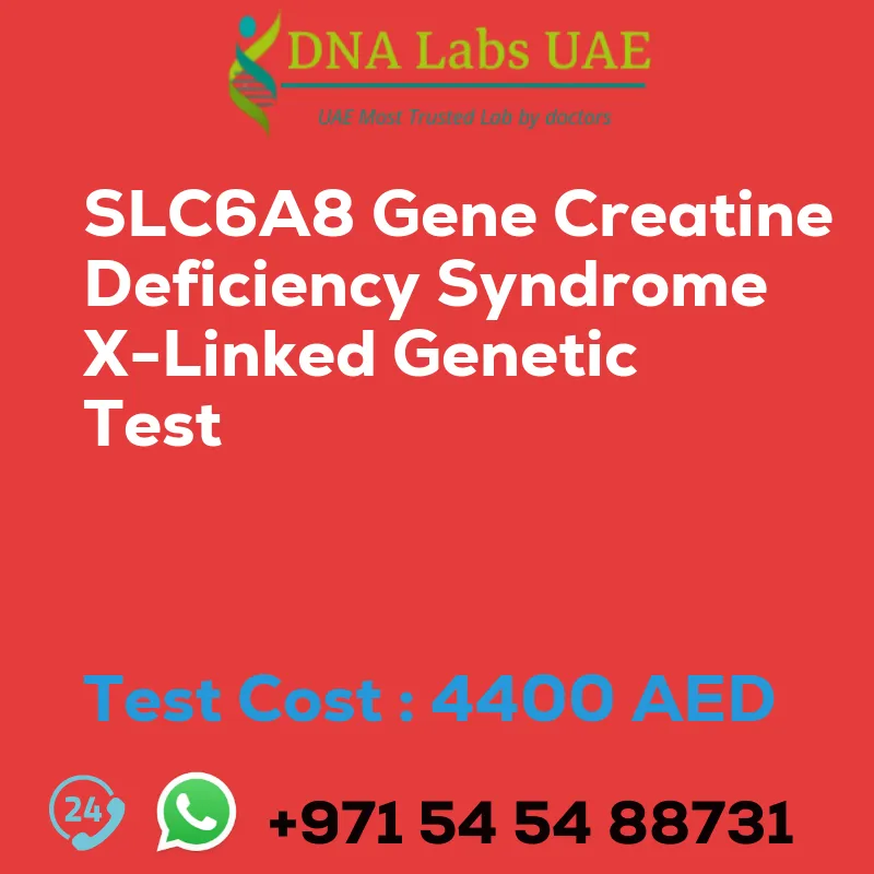 SLC6A8 Gene Creatine Deficiency Syndrome X-Linked Genetic Test sale cost 4400 AED