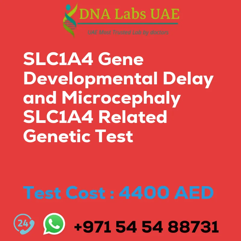 SLC1A4 Gene Developmental Delay and Microcephaly SLC1A4 Related Genetic Test sale cost 4400 AED