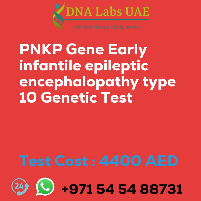 PNKP Gene Early infantile epileptic encephalopathy type 10 Genetic Test sale cost 4400 AED