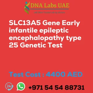 SLC13A5 Gene Early infantile epileptic encephalopathy type 25 Genetic Test sale cost 4400 AED