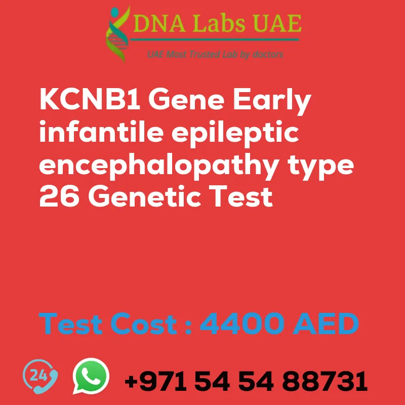 KCNB1 Gene Early infantile epileptic encephalopathy type 26 Genetic Test sale cost 4400 AED