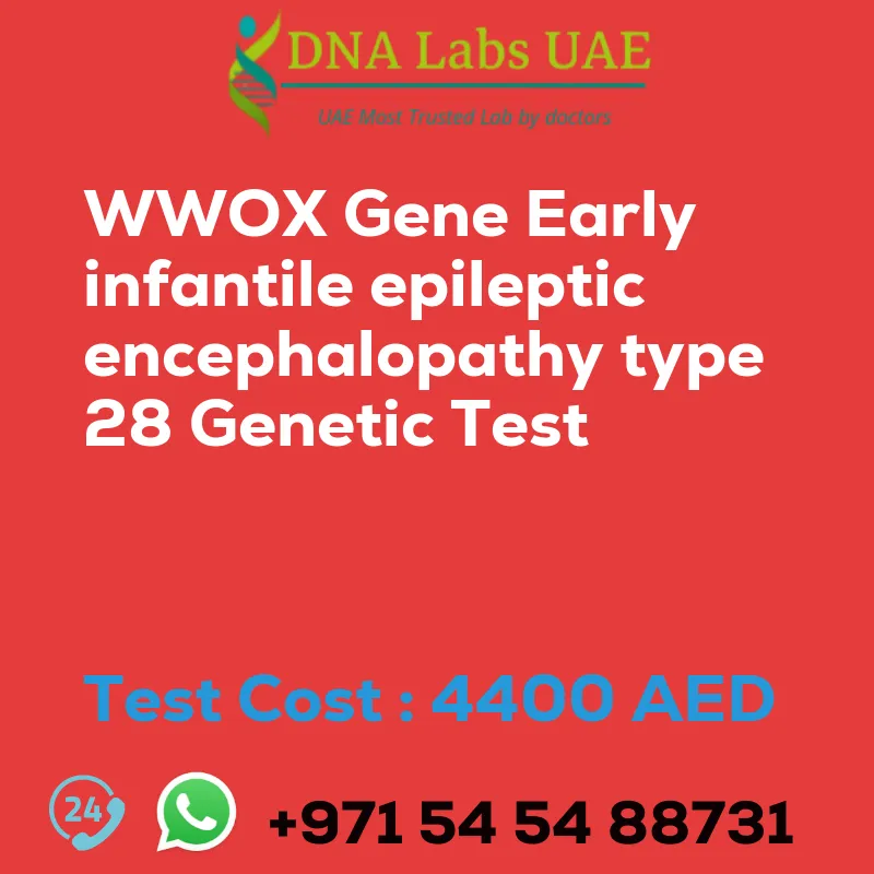 WWOX Gene Early infantile epileptic encephalopathy type 28 Genetic Test sale cost 4400 AED