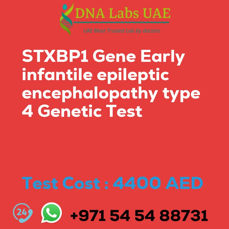 STXBP1 Gene Early infantile epileptic encephalopathy type 4 Genetic Test sale cost 4400 AED