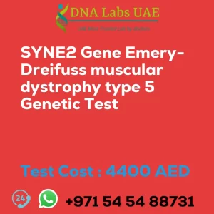 SYNE2 Gene Emery-Dreifuss muscular dystrophy type 5 Genetic Test sale cost 4400 AED