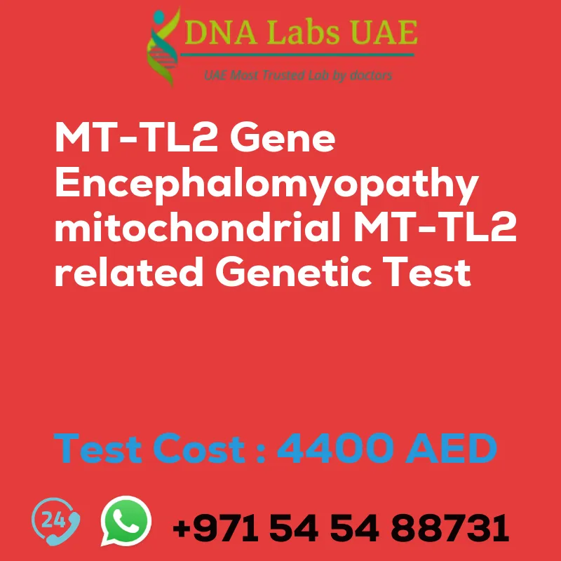MT-TL2 Gene Encephalomyopathy mitochondrial MT-TL2 related Genetic Test sale cost 4400 AED