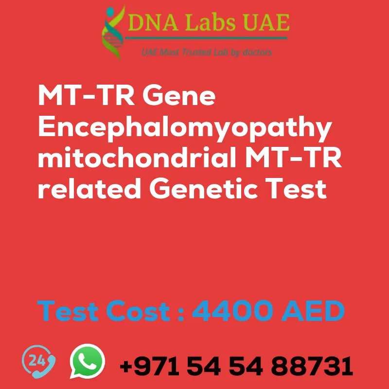 MT-TR Gene Encephalomyopathy mitochondrial MT-TR related Genetic Test sale cost 4400 AED