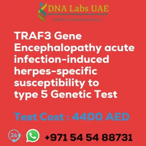 TRAF3 Gene Encephalopathy acute infection-induced herpes-specific susceptibility to type 5 Genetic Test sale cost 4400 AED