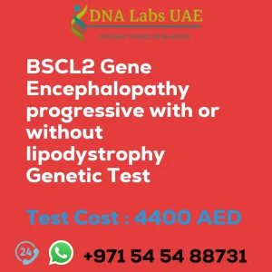 BSCL2 Gene Encephalopathy progressive with or without lipodystrophy Genetic Test sale cost 4400 AED