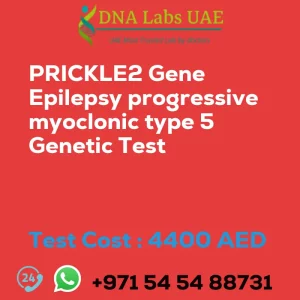 PRICKLE2 Gene Epilepsy progressive myoclonic type 5 Genetic Test sale cost 4400 AED