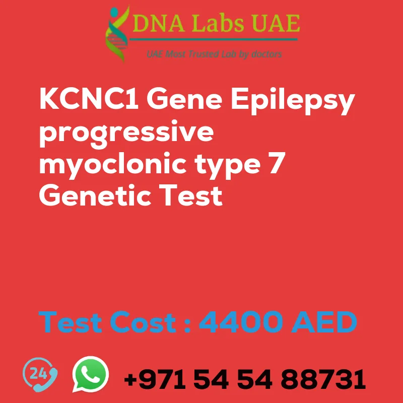 KCNC1 Gene Epilepsy progressive myoclonic type 7 Genetic Test sale cost 4400 AED