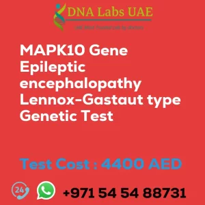 MAPK10 Gene Epileptic encephalopathy Lennox-Gastaut type Genetic Test sale cost 4400 AED