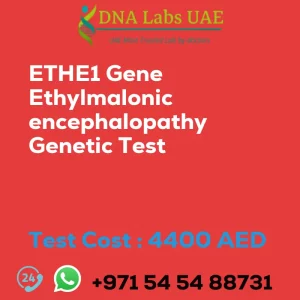 ETHE1 Gene Ethylmalonic encephalopathy Genetic Test sale cost 4400 AED