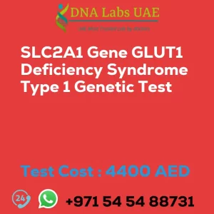 SLC2A1 Gene GLUT1 Deficiency Syndrome Type 1 Genetic Test sale cost 4400 AED