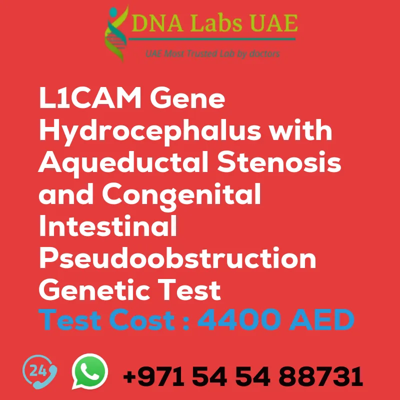 L1CAM Gene Hydrocephalus with Aqueductal Stenosis and Congenital Intestinal Pseudoobstruction Genetic Test sale cost 4400 AED