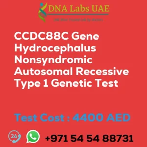 CCDC88C Gene Hydrocephalus Nonsyndromic Autosomal Recessive Type 1 Genetic Test sale cost 4400 AED