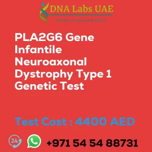 PLA2G6 Gene Infantile Neuroaxonal Dystrophy Type 1 Genetic Test sale cost 4400 AED