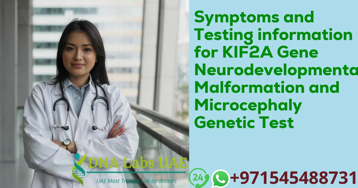 Symptoms and Testing information for KIF2A Gene Neurodevelopmental Malformation and Microcephaly Genetic Test