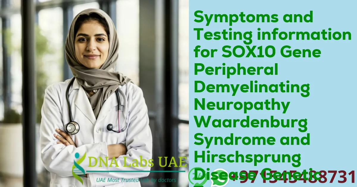 Symptoms and Testing information for SOX10 Gene Peripheral Demyelinating Neuropathy Waardenburg Syndrome and Hirschsprung Disease Genetic Test