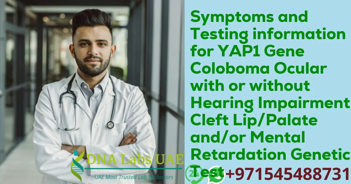 Symptoms and Testing information for YAP1 Gene Coloboma Ocular with or without Hearing Impairment Cleft Lip/Palate and/or Mental Retardation Genetic Test